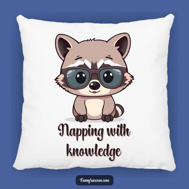 Funny Raccoon Glasses Pillow: Cozy Cushion with Big Specs, Great Gift